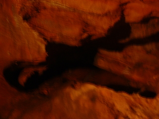 Photo /users/aendr/cheshirecat/955