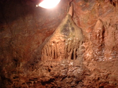 Photo /users/aendr/cheshirecat/956