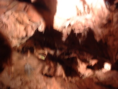 Photo /users/aendr/cheshirecat/960