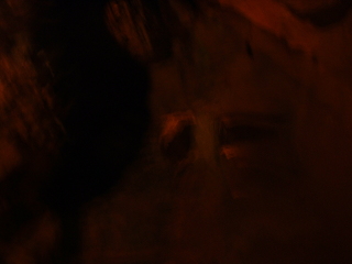 Photo /users/aendr/cheshirecat/961