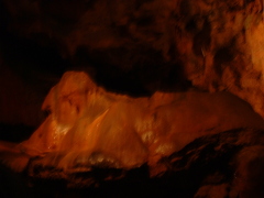 Photo /users/aendr/cheshirecat/962