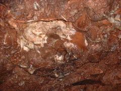 Photo /users/aendr/cheshirecat/966