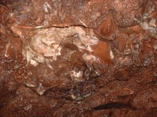 Photo /users/aendr/cheshirecat/966