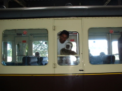 Photo /users/aendr/cheshirecat/975