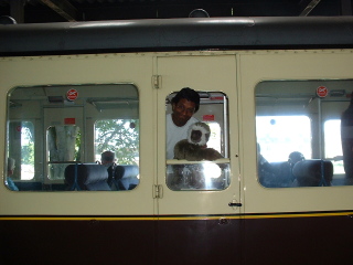 Photo /users/aendr/cheshirecat/975