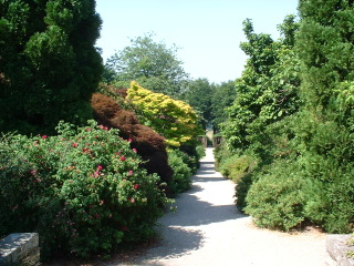 Photo /users/aendr/cheshirecat/994