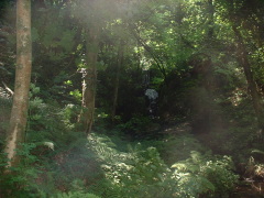 Photo /users/aendr/cheshirecat/999