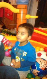 Photo /users/aendr/murinae/106