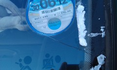 Photo /users/aendr/murinae/108