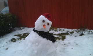 Photo /users/aendr/murinae/115