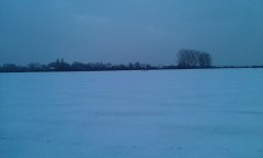 Photo /users/aendr/murinae/117