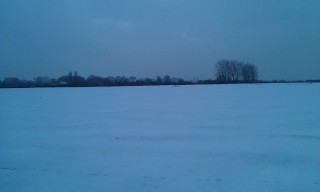 Photo /users/aendr/murinae/117