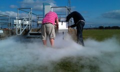 Photo /users/aendr/murinae/125