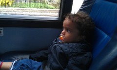 Photo /users/aendr/murinae/138