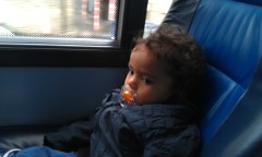 Photo /users/aendr/murinae/139