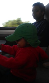 Photo /users/aendr/murinae/154