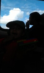 Photo /users/aendr/murinae/156