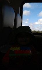 Photo /users/aendr/murinae/157