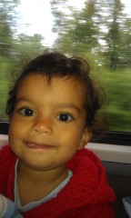 Photo /users/aendr/murinae/158