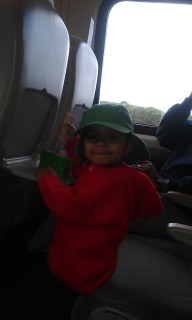 Photo /users/aendr/murinae/160