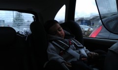 Photo /users/aendr/murinae/163