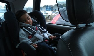 Photo /users/aendr/murinae/164