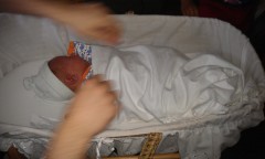 Photo /users/aendr/murinae/168