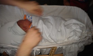 Photo /users/aendr/murinae/168