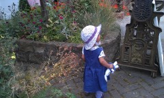 Photo /users/aendr/murinae/186