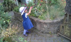 Photo /users/aendr/murinae/188