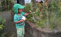 Photo /users/aendr/murinae/191