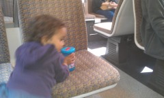 Photo /users/aendr/murinae/196