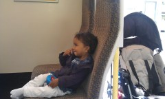 Photo /users/aendr/murinae/201