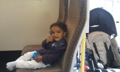 Photo /users/aendr/murinae/202