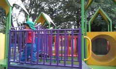 Photo /users/aendr/murinae/231