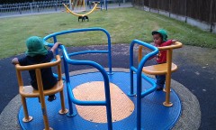 Photo /users/aendr/murinae/235