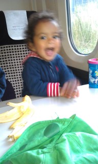 Photo /users/aendr/murinae/238