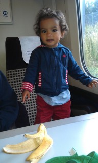 Photo /users/aendr/murinae/239