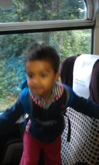 Photo /users/aendr/murinae/240