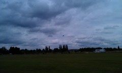 Photo /users/aendr/murinae/254