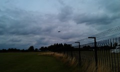 Photo /users/aendr/murinae/255