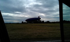 Photo /users/aendr/murinae/256