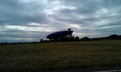 Photo /users/aendr/murinae/257