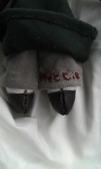 Photo /users/aendr/murinae/262