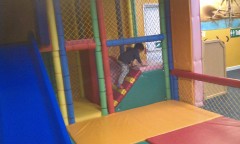 Photo /users/aendr/murinae/266