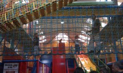 Photo /users/aendr/murinae/271