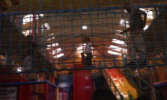 Photo /users/aendr/murinae/272