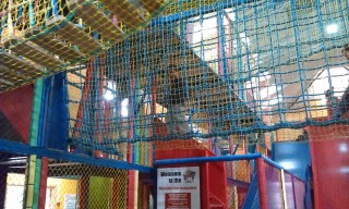 Photo /users/aendr/murinae/273