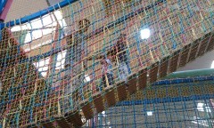 Photo /users/aendr/murinae/274