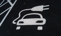 Photo /users/aendr/murinae/275